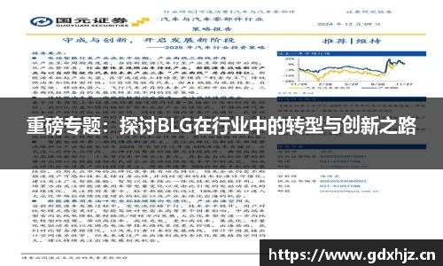 重磅专题：探讨BLG在行业中的转型与创新之路